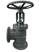 angle globe valve